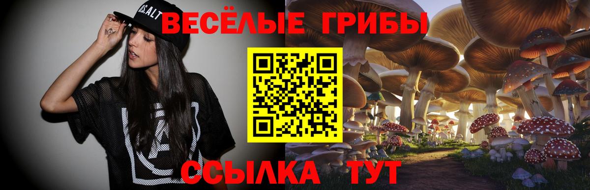 как найти закладки  Вход с VPN  Галлюциногенные грибы Psilocybine cubensis  Осинники  Галлюциногенные грибы прущие грибы 